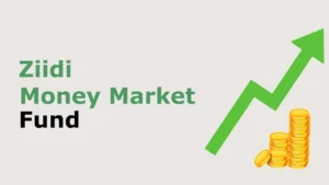 Ziidi money market fund