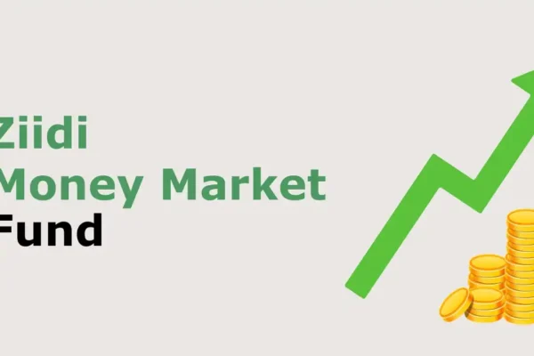 Ziidi money market fund