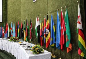 Comesa flags