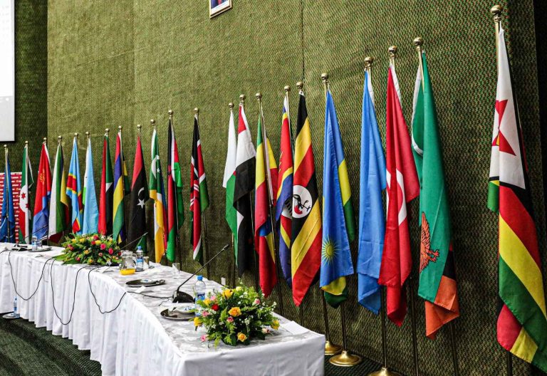 Comesa flags