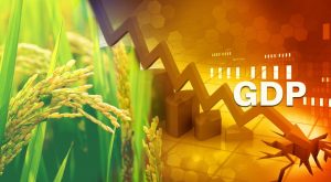 Agri gdp