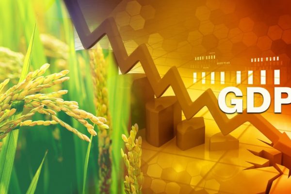 Agri gdp