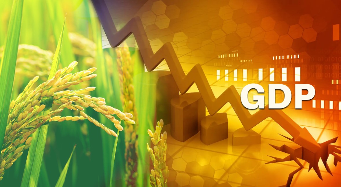 Agri gdp
